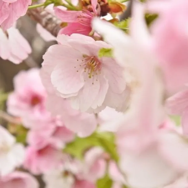 祝！合格速報!(^^)!　