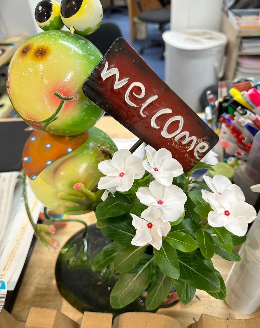 こんにちは(^^)/